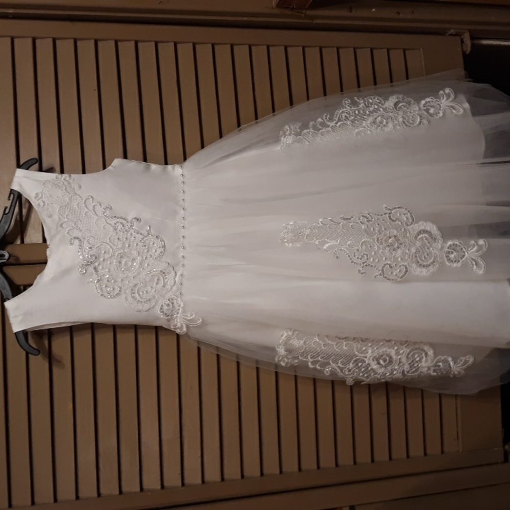 Pink Butterfly formal dress